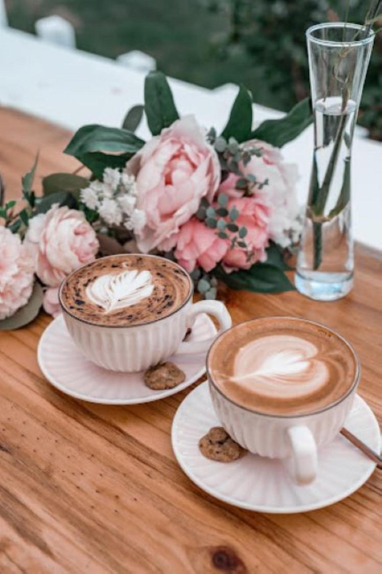 Montego Mermaid Beach Motel Gold Coast Ngoại thất bức ảnh